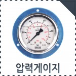 ǰ̹